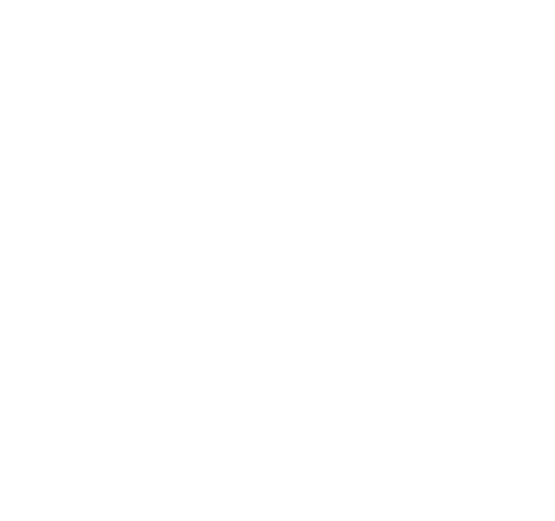 aoumi logo